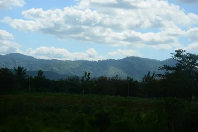 DSC_9685 (Large).JPG